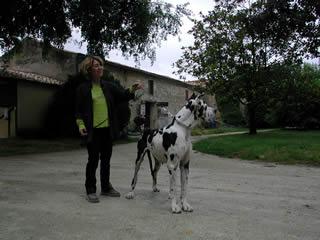 Ophelie Des Terres De La Rairie