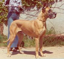 Vania Du Gui De La Michardiere