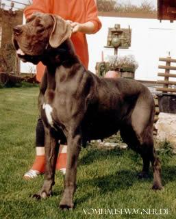 Domina Vom Hause Wagner