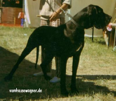 Ch Fabienne Vom Hause Wagner