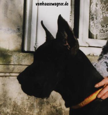 Queen Vom Hause Wagner