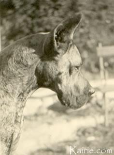 Tryx Von Bergpalast
