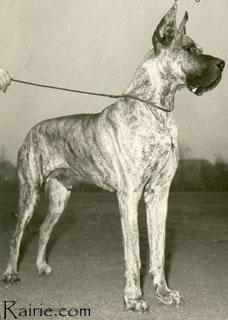 Tenor Von Klevchen