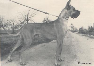 Cyrus Von Saarland
