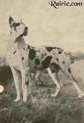 Veit Von Munchhausen
