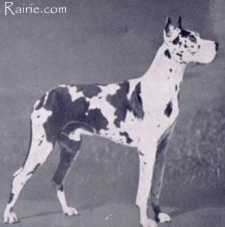 Gunar Von Rottal