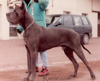 Ch Granit Des Terres  De La Rairie