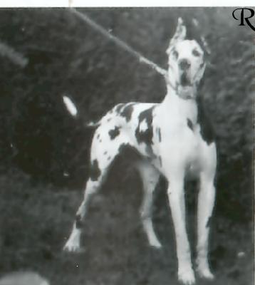 Wanda Von Maverick