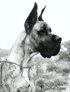 Ch Brien De Baussenque