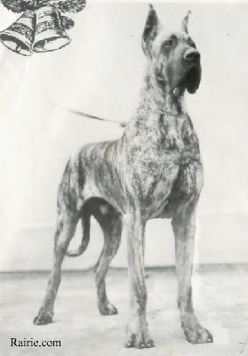 Ferro Von Klevchen