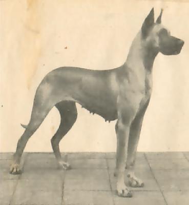 Susi Kadow