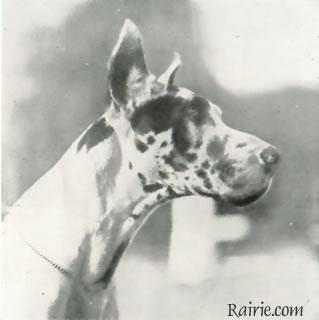 Caesar Krebs
