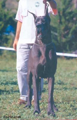 Ch Nijinskaia De La Benjamine