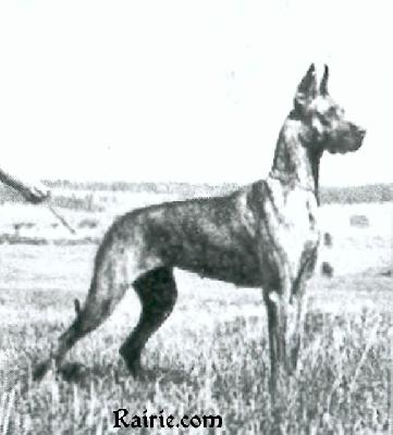 Thora Von Birkenhof
