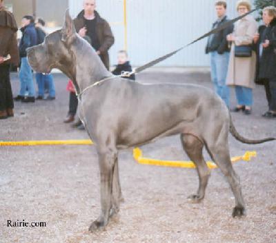Ch Morgane De Montbreuil