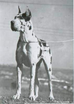 Petite Imperial