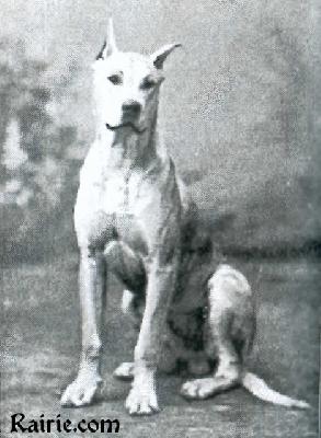 Caesar Gohlau