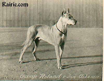 Roland Von Inn-askania