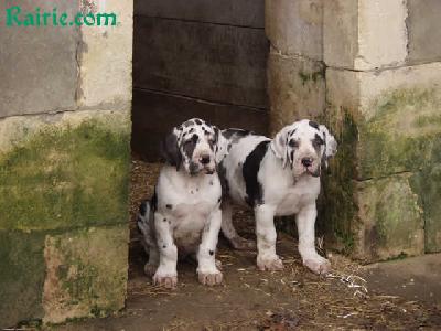 Toujours Des Terres De La Rairie