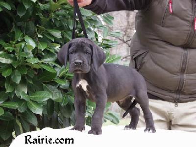 Tempo Des Terres De La Rairie