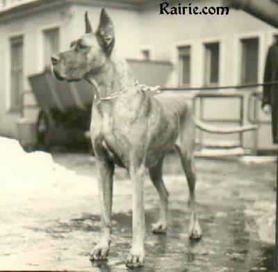 Bessy Von Der Suderburg