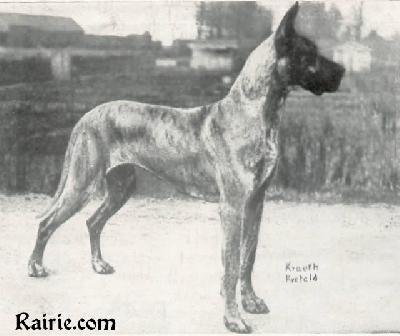 Daisy Von Greiffenhorst
