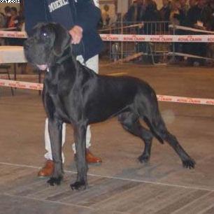 Unser Mann Des Terres De La Rairie