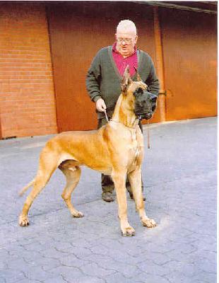Lester Von Beelen