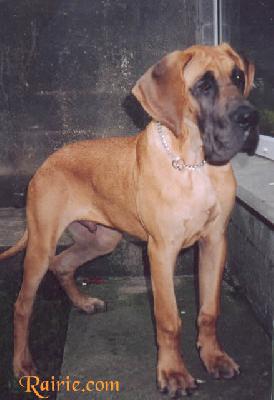 Ugo Des Terres De La Rairie