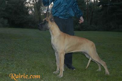 Ualina Des Terres De La Rairie