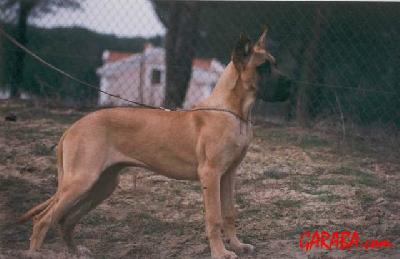 Neska De Garaba