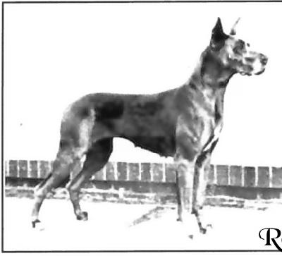 Fabel Von Kaiserhof
