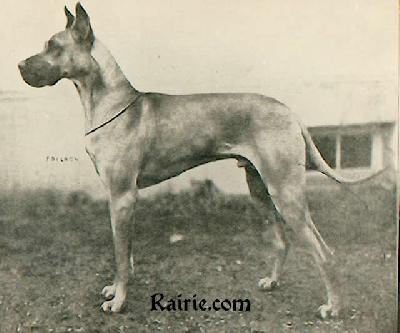 Bruno Von Federsee