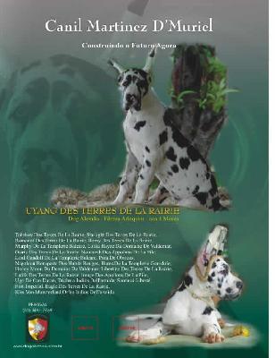 Uyang Des Terres De La Rairie