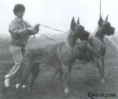 Susan Von Der Horst