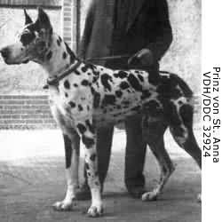 Prinz Von St Anna