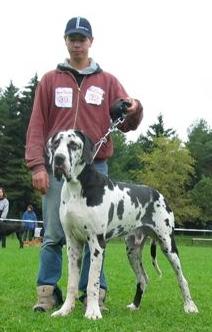 Jason Vom Wchterberg