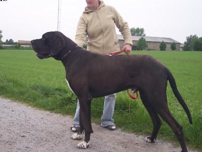 Obadja Vom Wchterberg