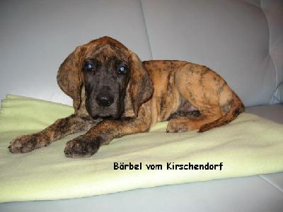 Brbel Vom Kirschendorf
