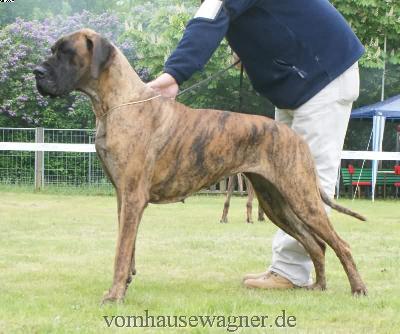 Aljany De La Tricolore