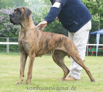 Aljany De La Tricolore