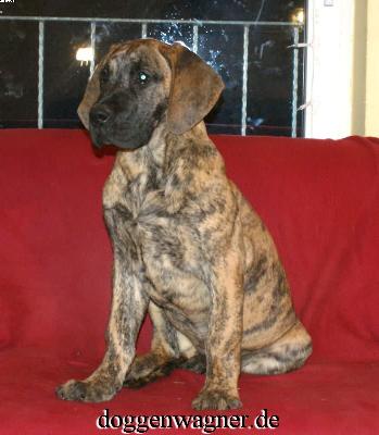 Rebecca Vom Hause Wagner