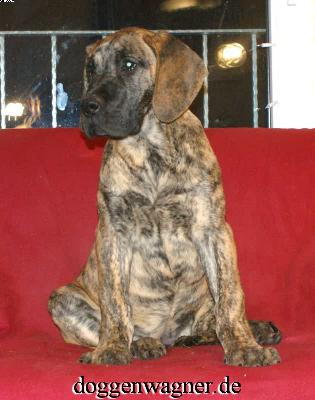 Rebecca Vom Hause Wagner