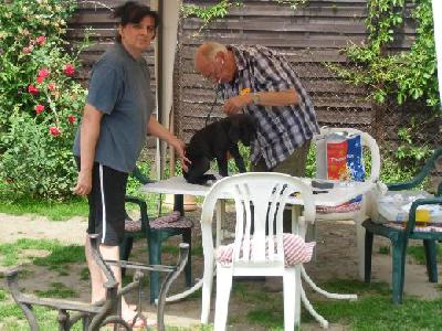 Black Jack Vom Mephisto