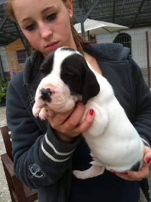 Zambrina Von Schlesien