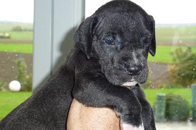Kimi von der Ofnethhle