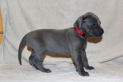 Adolpha vom Ruberbaron