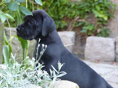 Carla Vom Ganschower Land