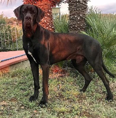 Freeman Vom Herstallturm