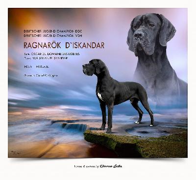 Ragnarok D`Iskandar